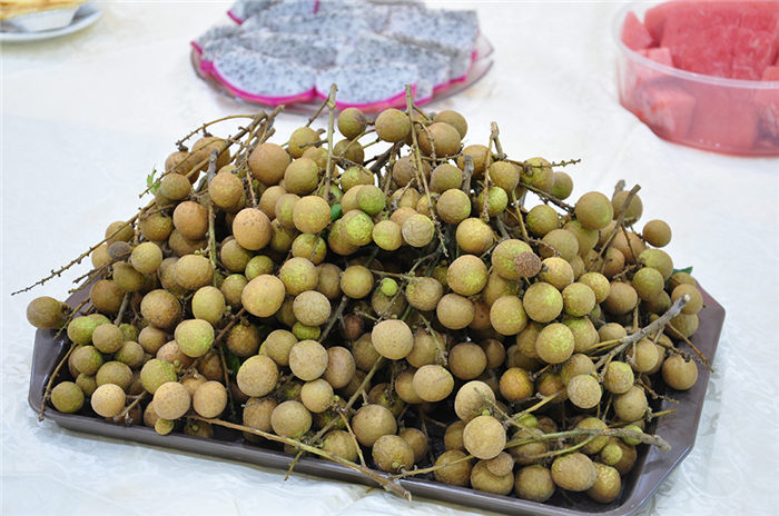 2018東科集團主題生日派對之“桂”在有“圓”活動回顧