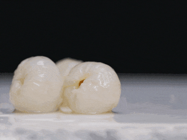 荔行朗洲，相聚東科