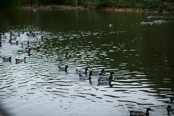 同心逐夢(mèng)，溫暖同行 —— 東科集團(tuán)20周年慶團(tuán)建精彩回顧！