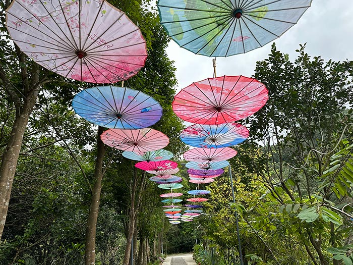 同心逐夢(mèng)，溫暖同行 —— 東科集團(tuán)20周年慶團(tuán)建精彩回顧！