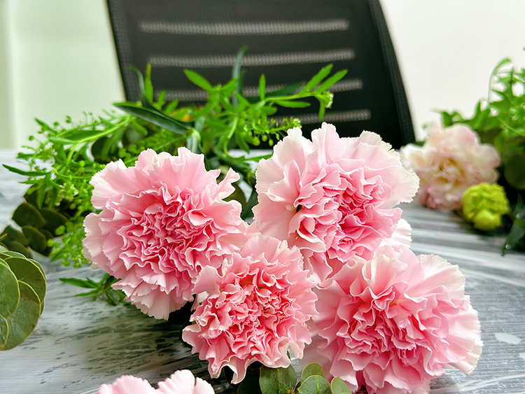 三八婦女節(jié)丨祝福所有女人：愿你笑靨如花，一生不減芳華！