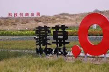 內蒙古總結創業孵化器平臺建設工作，取得可喜成績