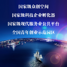 電子行業， 孵化器，加速器， 產業科技園區